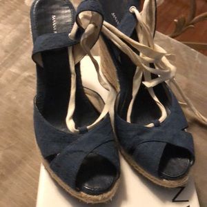Blue Wedge Platforms